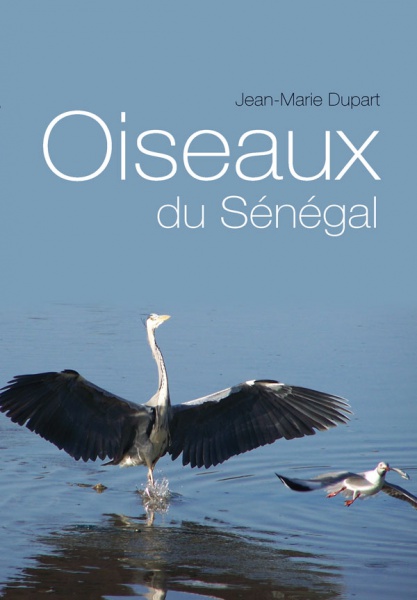 Oiseaux du Sénégal